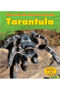 Tarantula