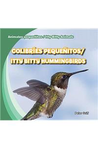 Colibríes Pequeñitos / Itty Bitty Hummingbirds