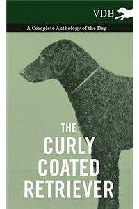 The Curly Coated Retriever - A Complete Anthology of the Dog -