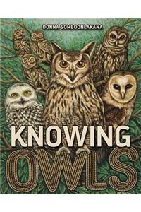 Knowing Owls