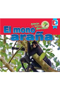 Animales de la Selva Amazónica -- El Mono Araña