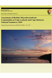 Assessment of Benthic Macroinvertebrate Communities at Cape Lookout and Cape Hatteras National Seashores, 2010