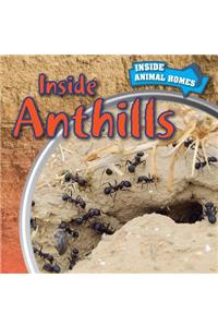 Inside Anthills