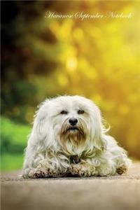 Havanese September Notebook Havanese Record, Log, Diary, Special Memories, To Do List, Academic Notepad, Scrapbook & More