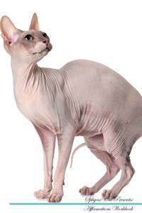 Sphynx Cat Affirmations Workbook Sphynx Cat Presents