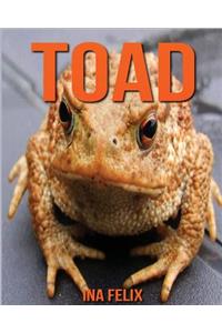 Toad