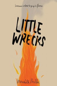 Little Wrecks Lib/E