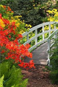 A Charming White Footbridge and Flowers in Spring Journal