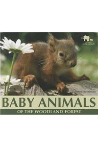 Baby Animals of the Woodland Forest