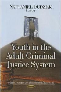 Youth in the Adult Criminal Justice System