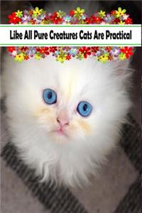 Like All Pure Creatures Cats Are Practical