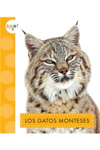 Los Gatos Monteses