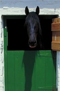 2020 Weekly Planner Horse Photo Equine Stabled Horse French Door 134 Pages