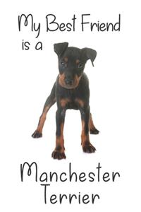 My best Friend is a Manchester Terrier