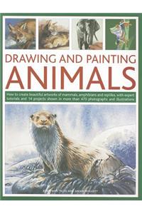 Drawing and Painting Animals