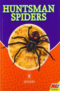 Huntsman Spiders
