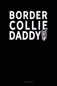 Border Collie Daddy