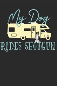 My Dog Rides Shotgun