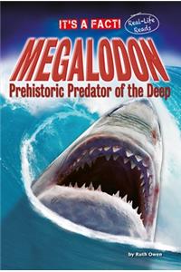 Megalodon