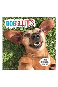 Dog Selfies 2019 Square