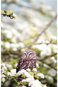 Owl Design Dot Grid Journal