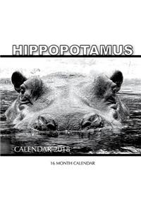 Hippopotamus Calendar 2018