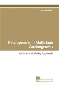 Heterogeneity in Multistage Carcinogenesis