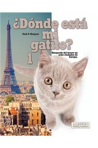 ¿Dónde está mi gatito? 1