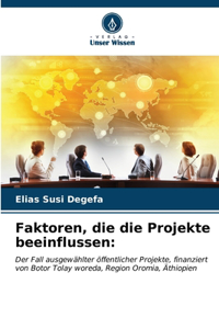 Faktoren, die die Projekte beeinflussen