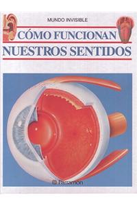 Como Funcionan Nuestros Sentidos
