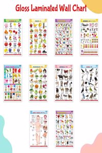 Complete Learning Chart Set of 10 for Kids : Alphabet, Fruits, Vegetables, Animals, Birds, Body Parts, Numbers, Hindi Varnmala, Shapes & Colours and Flowers â€“ Gloss Laminated English-Hindi Charts
