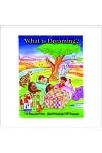 What Is Dreaming ?