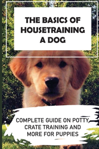 Basics Of Housetraining A Dog