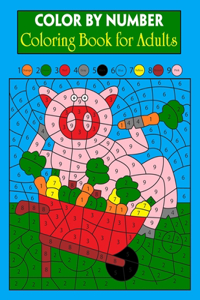 Color By Number Coloring Book for Adults