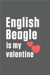 English Beagle is my valentine