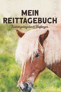 Mein Reittagebuch - Trainingstagebuch Haflinger