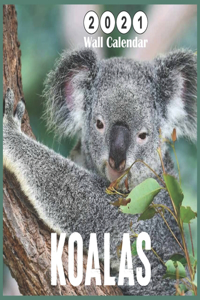 Koalas 2021 wall calendar