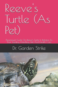 Reeve's Turtle (As Pet)