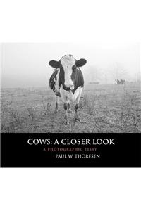 Cows: A Closer Look