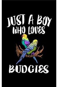 Just A Boy Who Loves Budgies