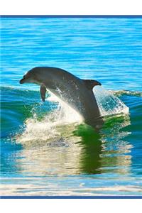 Dolphin Notebook
