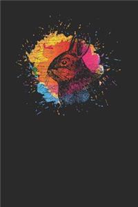 Rabbit Splash