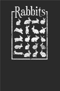 Rabbits