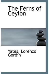 The Ferns of Ceylon