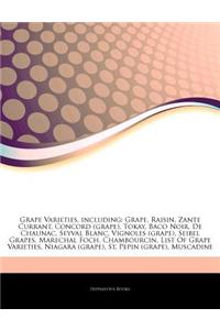 Articles on Grape Varieties, Including: Grape, Raisin, Zante Currant, Concord (Grape), Tokay, Baco Noir, de Chaunac, Seyval Blanc, Vignoles (Grape), S