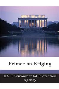 Primer on Kriging