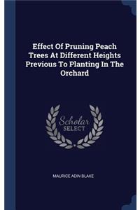 Effect Of Pruning Peach Trees At Different Heights Previous To Planting In The Orchard