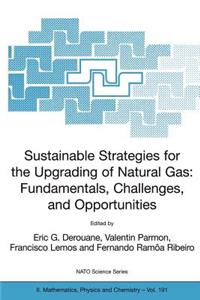 Sustainable Strategies for the Upgrading of Natural Gas: Fundamentals, Challenges, and Opportunities