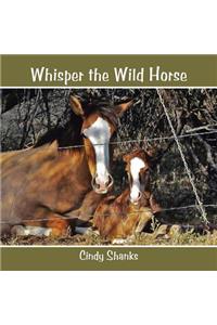 Whisper the Wild Horse