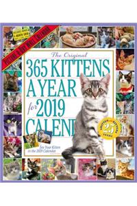 2019 365 Kittens a Year Picture-A-Day Wall Calendar